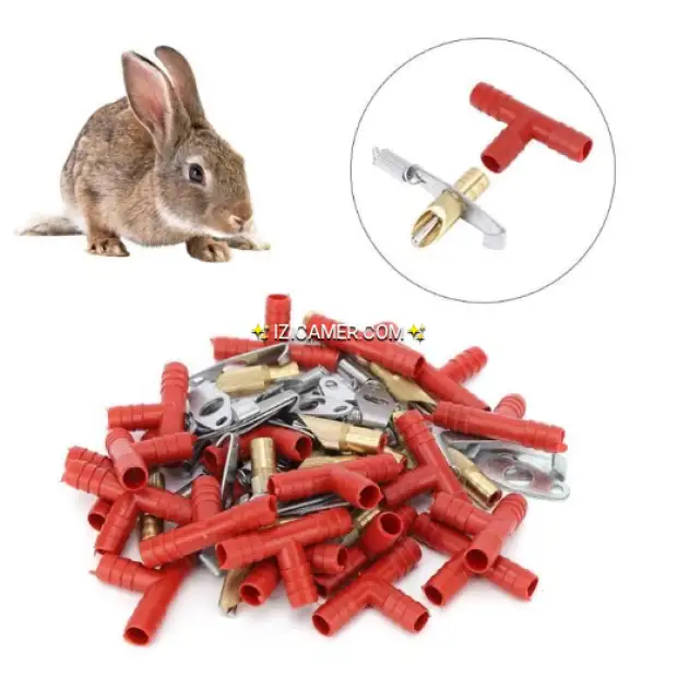 Pipette à lapins disponible chez Donald de très bonne qualité qui ne laisse pas fuir de L'eau.