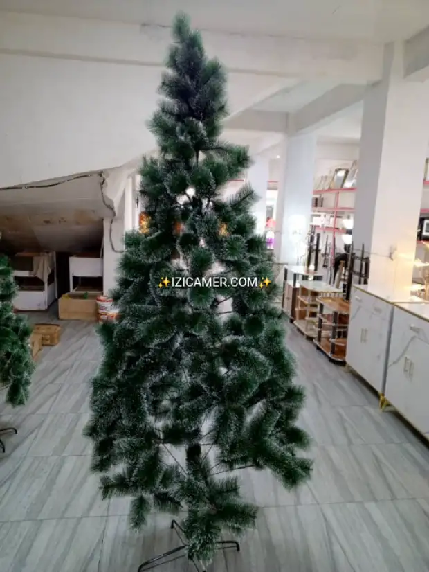 Sapins de  Noël toutes les tailles | IZICAMER