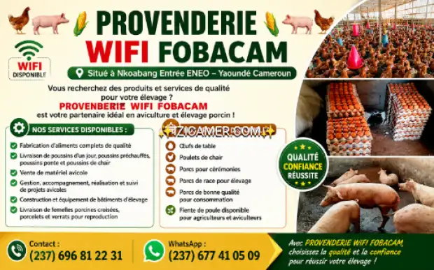Vente produit avicole, élevage et formation en élevage