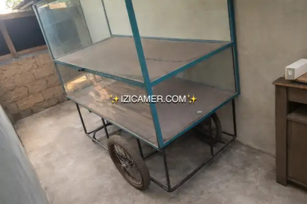 Pousse munie d’une caisse
