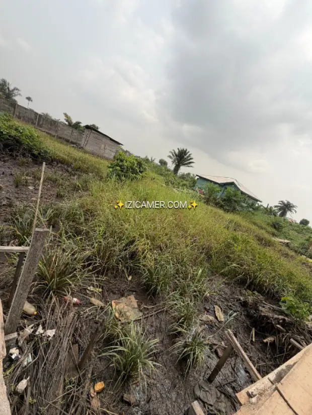 Terrain à vendre | IZICAMER